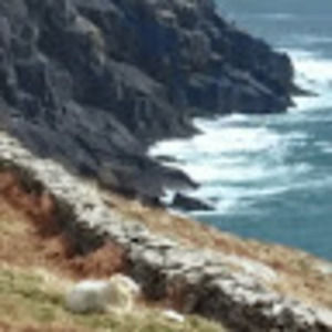 Meet your Posher, Ginger